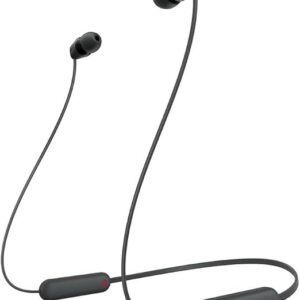 Sony WI-C100